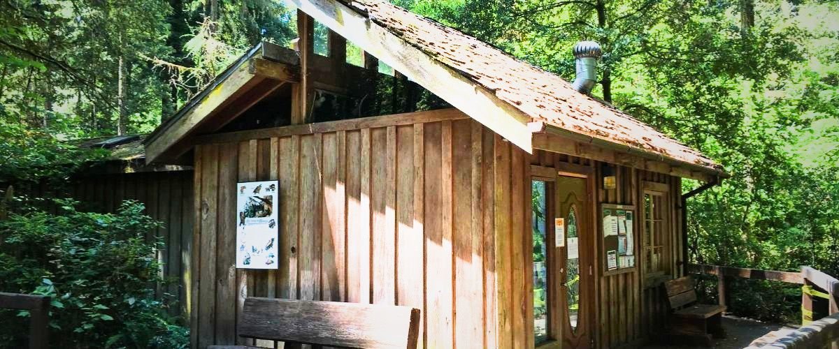 Hiouchi Amtrak Station – HIO